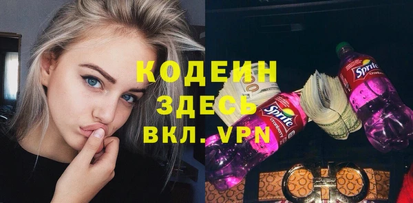 дурь Бородино
