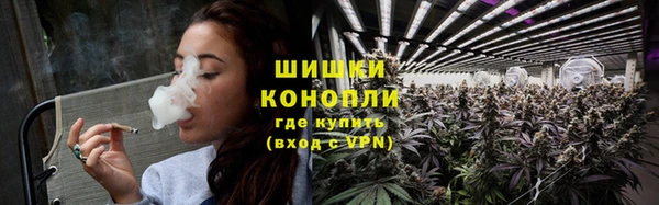 дурь Бородино