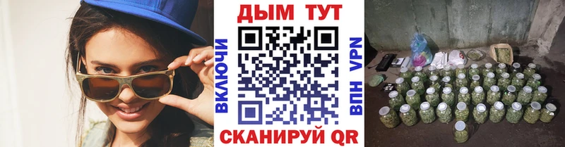 Конопля тримм  Махачкала 